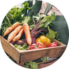 Food & Agricultural Testing